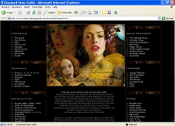 Screen capture of skin 2