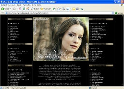 Screen capture of skin 3