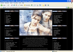 Screen capture of skin 4