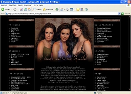 Screen capture of skin 5