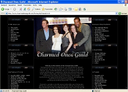 Screen capture of skin 6